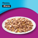 غذای پوچ گربه ویسکاس مدل ماهی قزل آلا وزن 75 گرم
